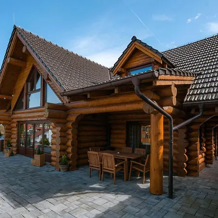 Forest With High Tatras View Nova Lesna