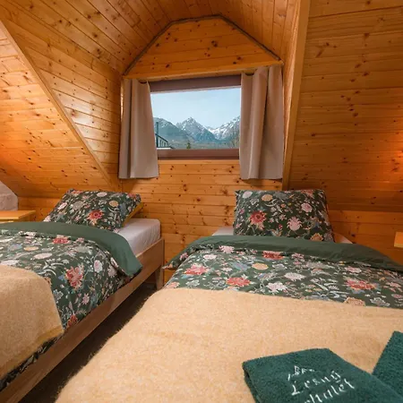 Forest With High Tatras View *